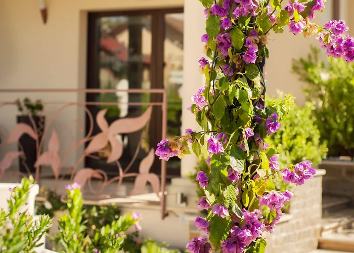 Rumi Boutique Hotels&spa Only Adults 阿谢亚